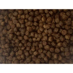 Vital Baits Pellets The Mojo 1kg -Exporteren Haak Lijn Winkel 07 0011r 2
