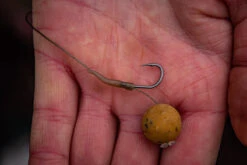 Fox Edges Line Aligna Sizes 6-1 10pcs -Exporteren Haak Lijn Winkel CAC724r 3