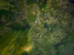 Fox Edges Zig Float Kit -Exporteren Haak Lijn Winkel CAC753 6