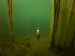 Fox Edges Zig Float Kit -Exporteren Haak Lijn Winkel CAC753 8