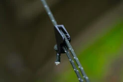 Fox R-Series Bivvy Storm Pack 11 Fox R-Series Bivvy Storm Pack -Exporteren Haak Lijn Winkel CUM332 6