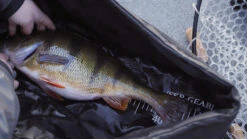 FKP-Gear Perch Station 12 FKP-Gear Perch Station -Exporteren Haak Lijn Winkel FKPPERCHSTATION 5