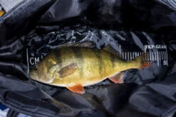 FKP-Gear Perch Station 13 FKP-Gear Perch Station -Exporteren Haak Lijn Winkel FKPPERCHSTATION 6