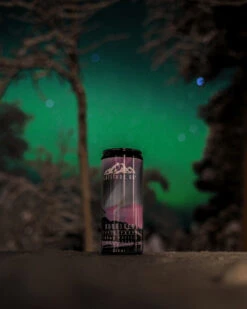 Latitude 65 24x330ml -Exporteren Haak Lijn Winkel L6524PACK 4